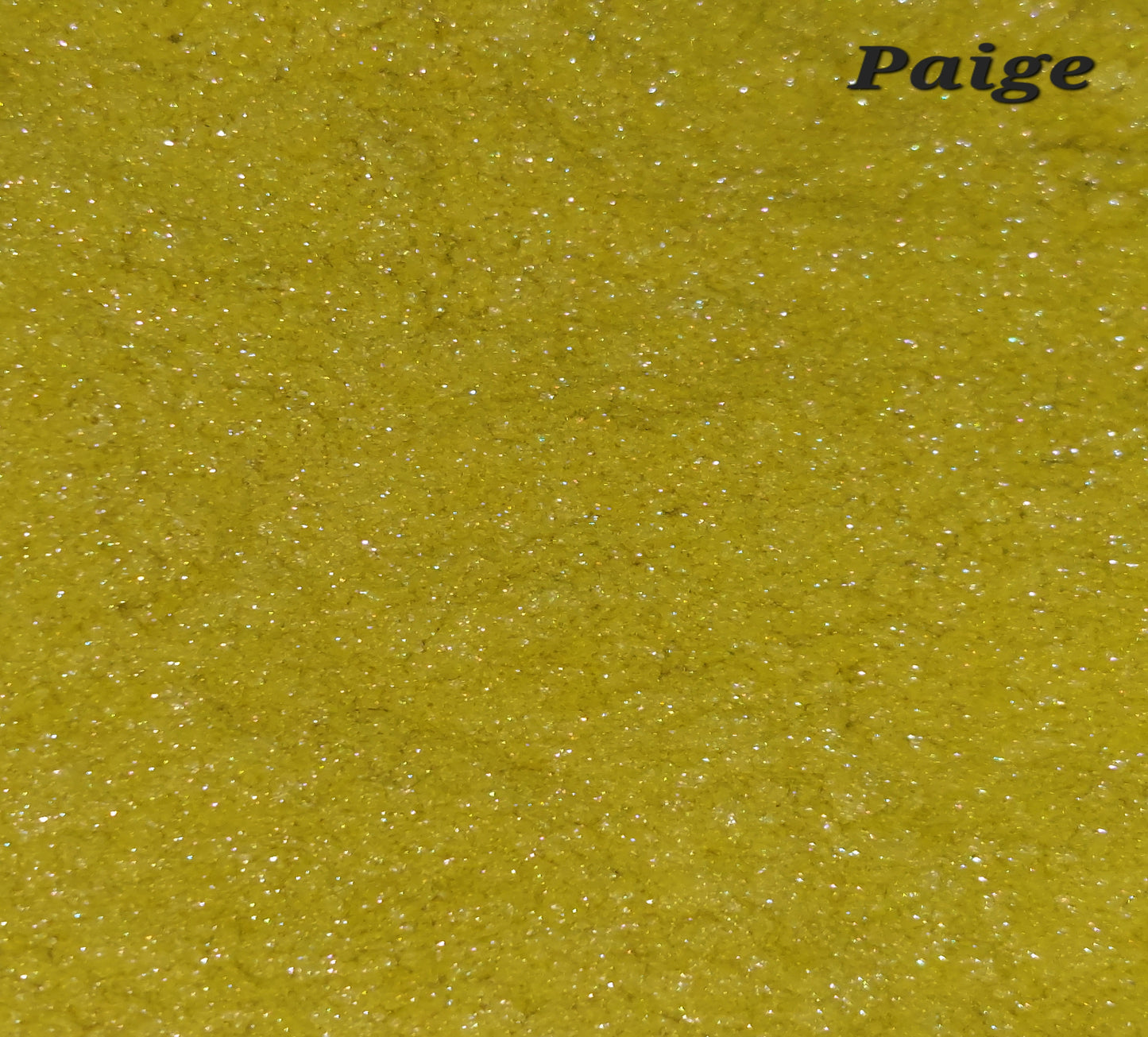 Paige - Mica powder 10g bag