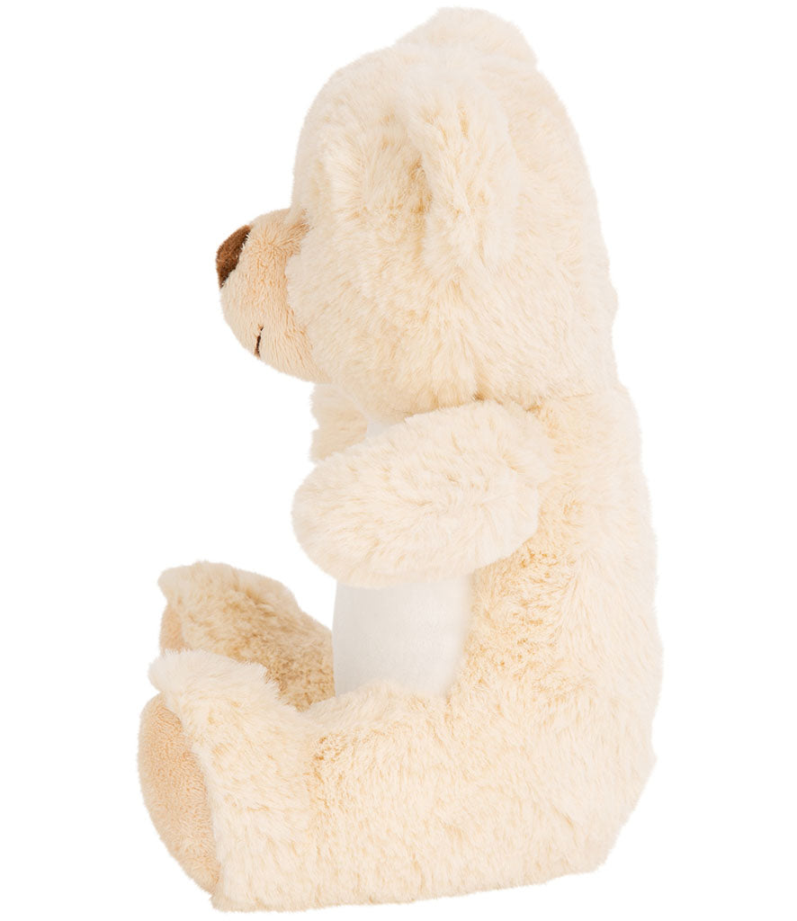 Personalised Teddy bear